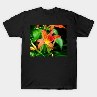 Lily Macro - Red/Orange Flower With Green Foliage Background T-Shirt